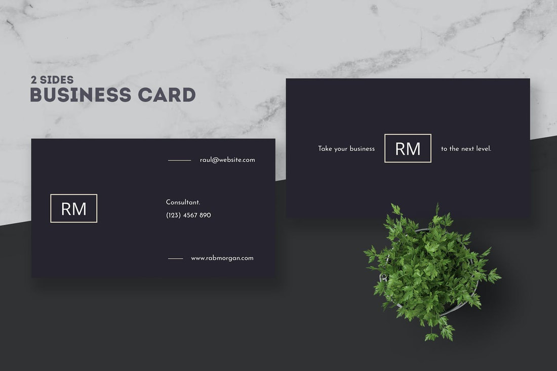 mockup of a business card front and back, with a small green plant