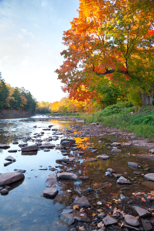 Low angle view of river in northern Michigan with rocks by trees in fall color